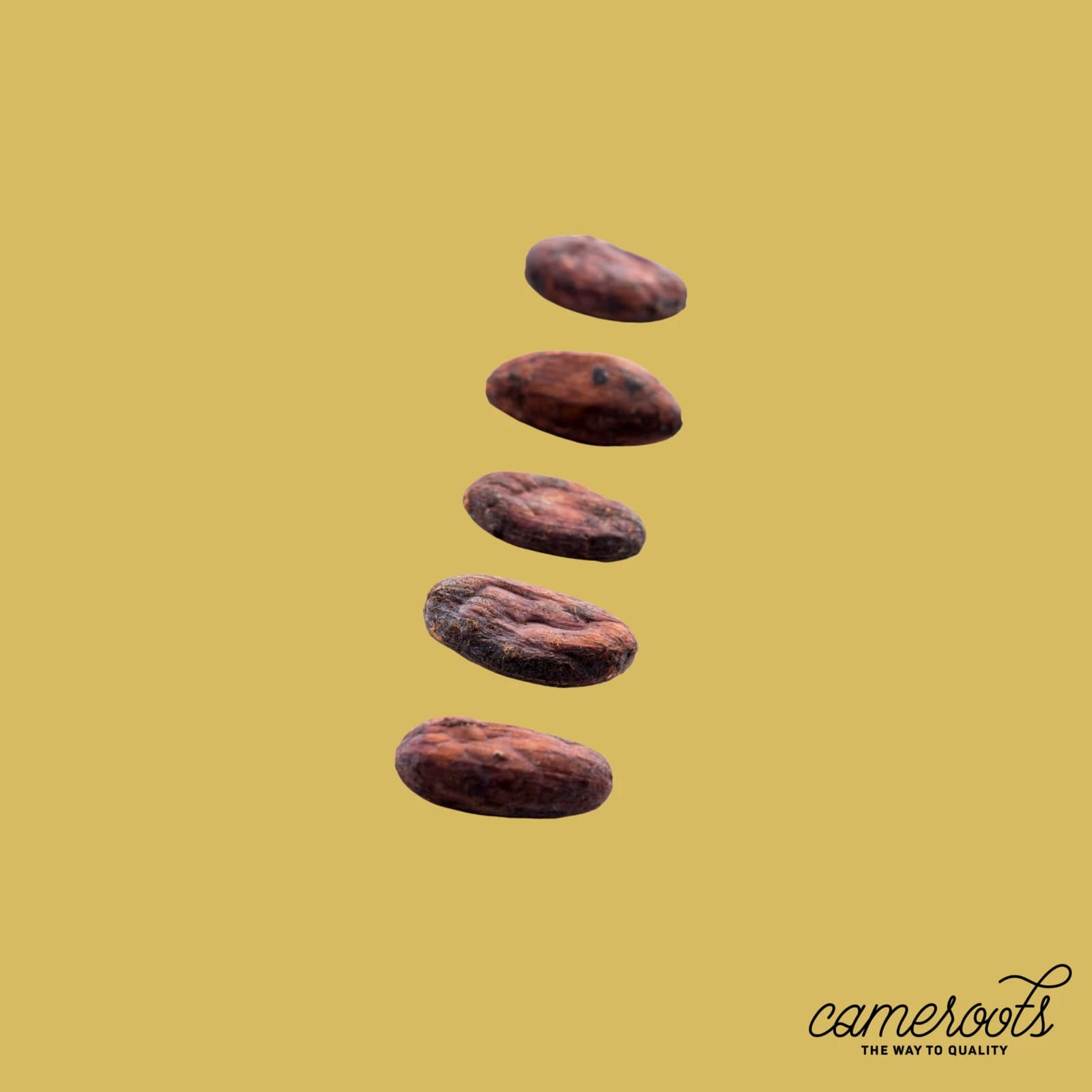 Cameroots: Instagram 9