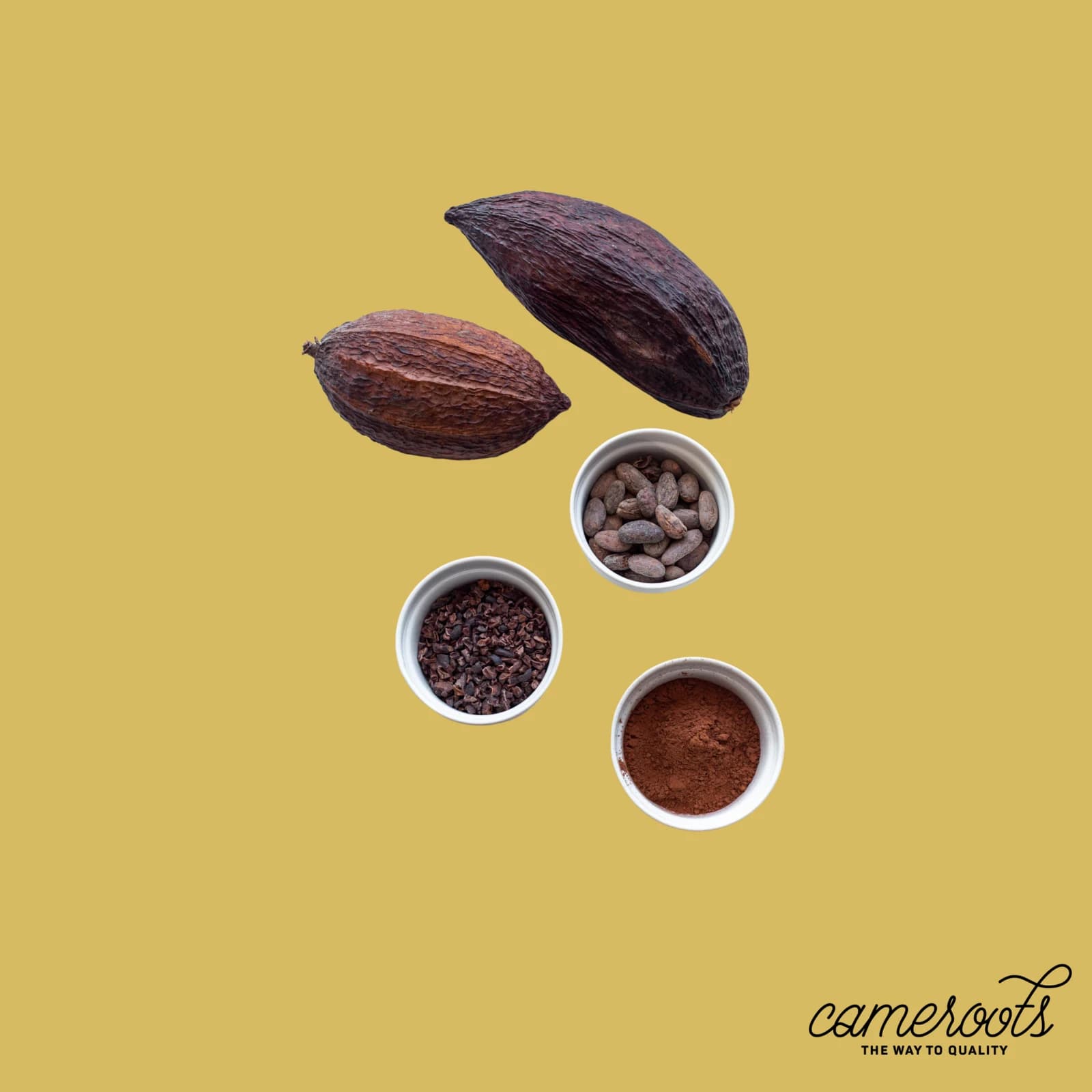 Cameroots: Instagram 16