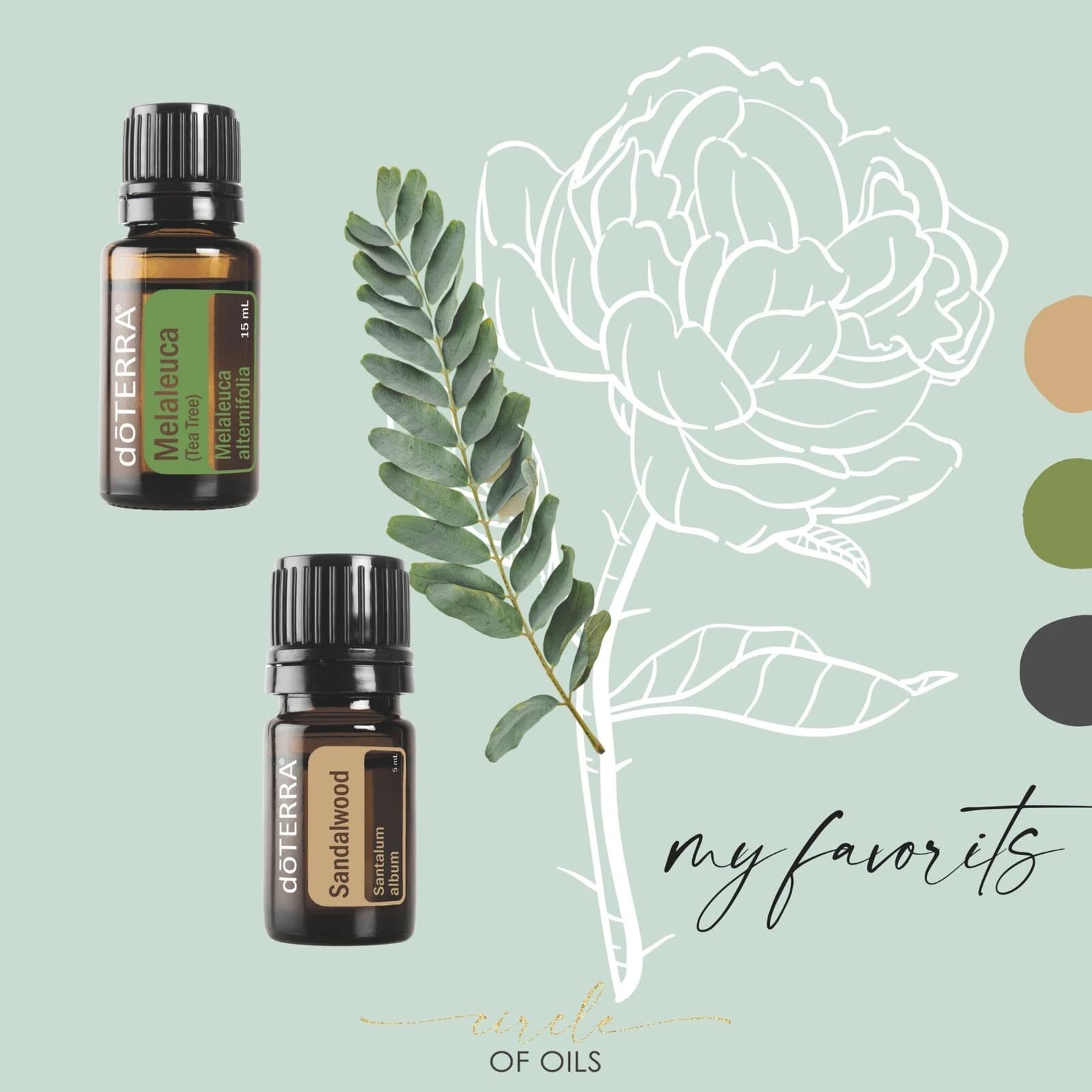 Circle of Oils: Instagram 1