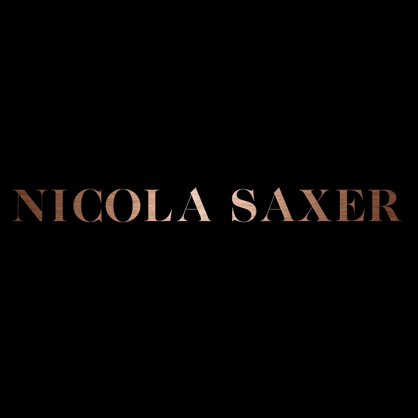 Nicola Saxer: logo 3