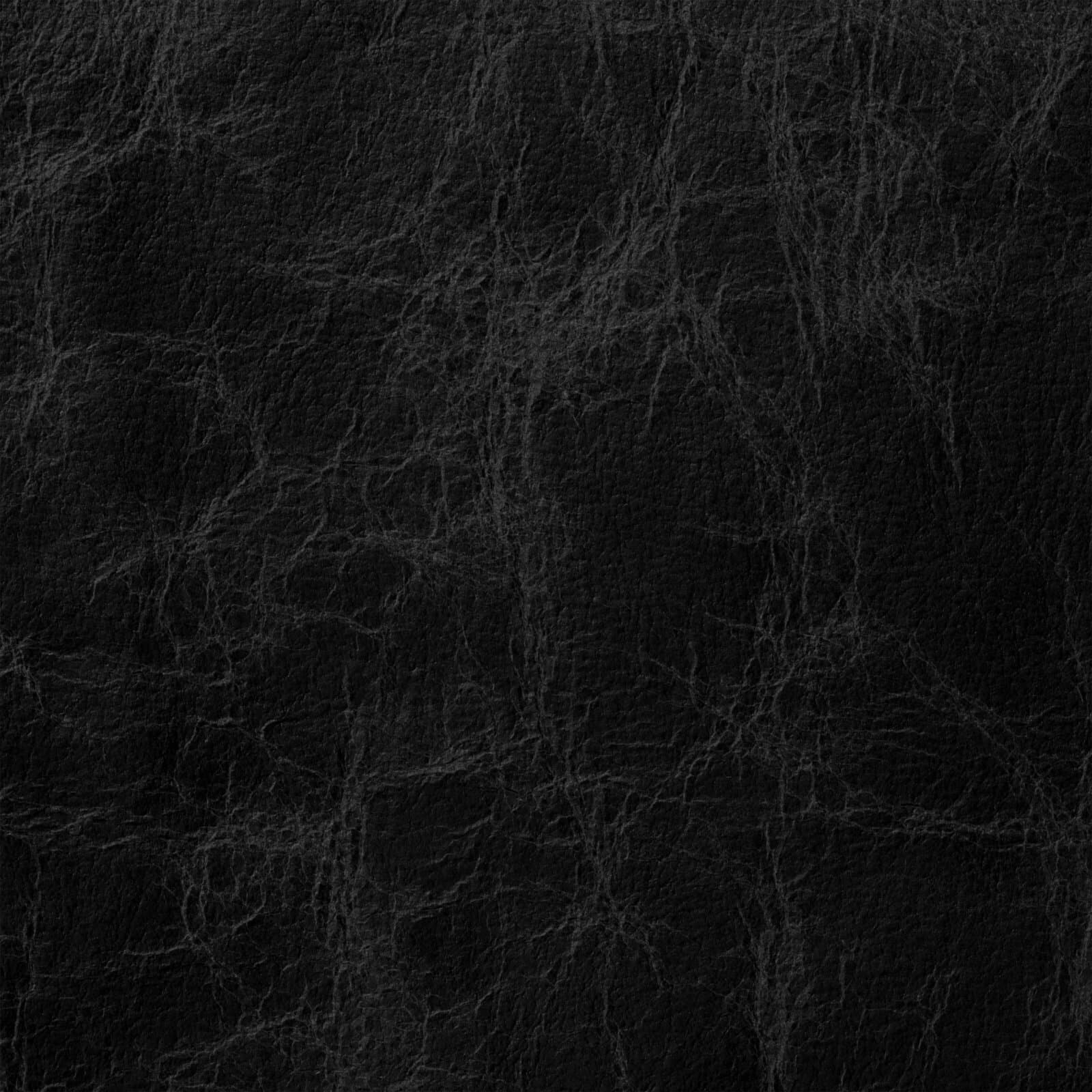 Muse: image 2