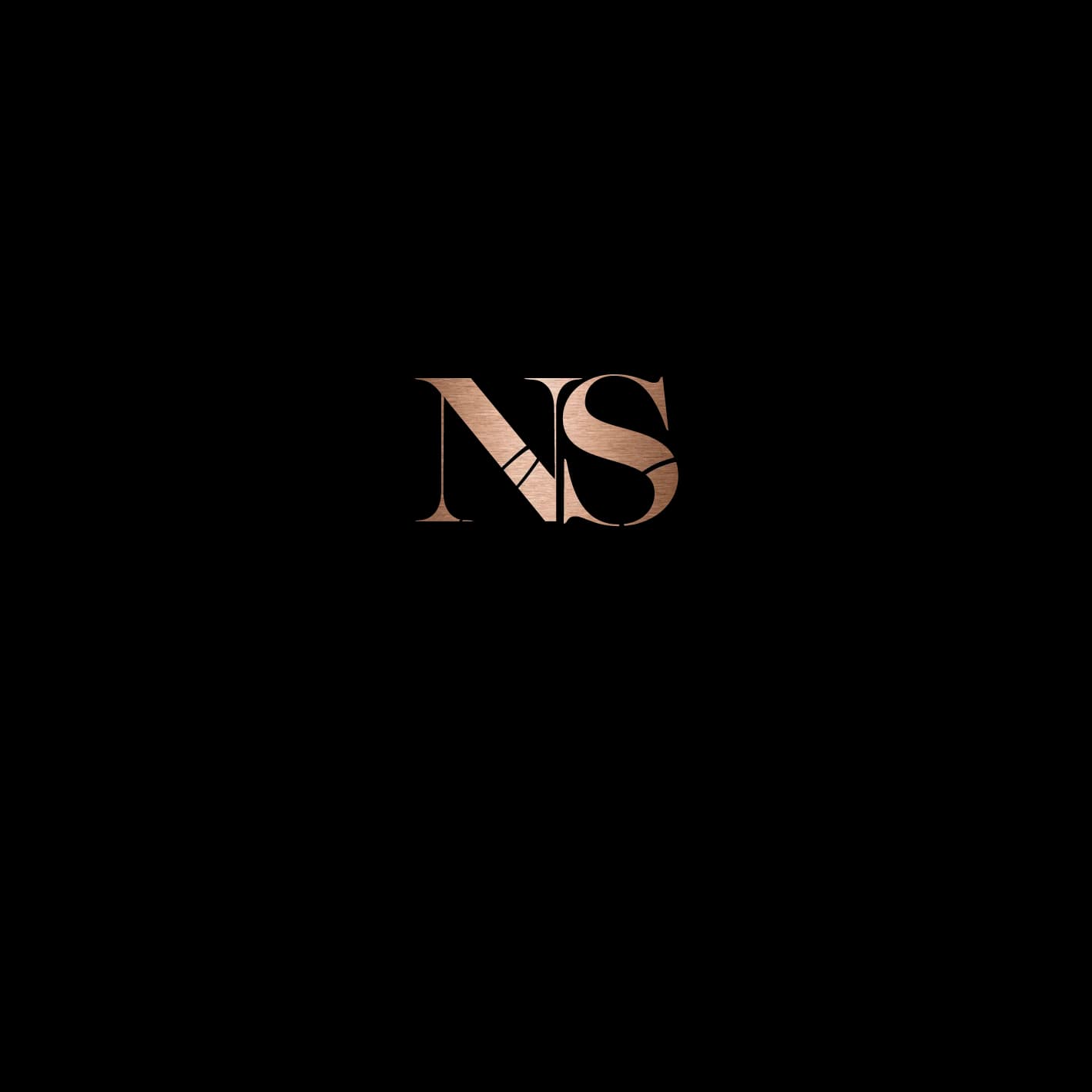 Nicola Saxer: logo 1