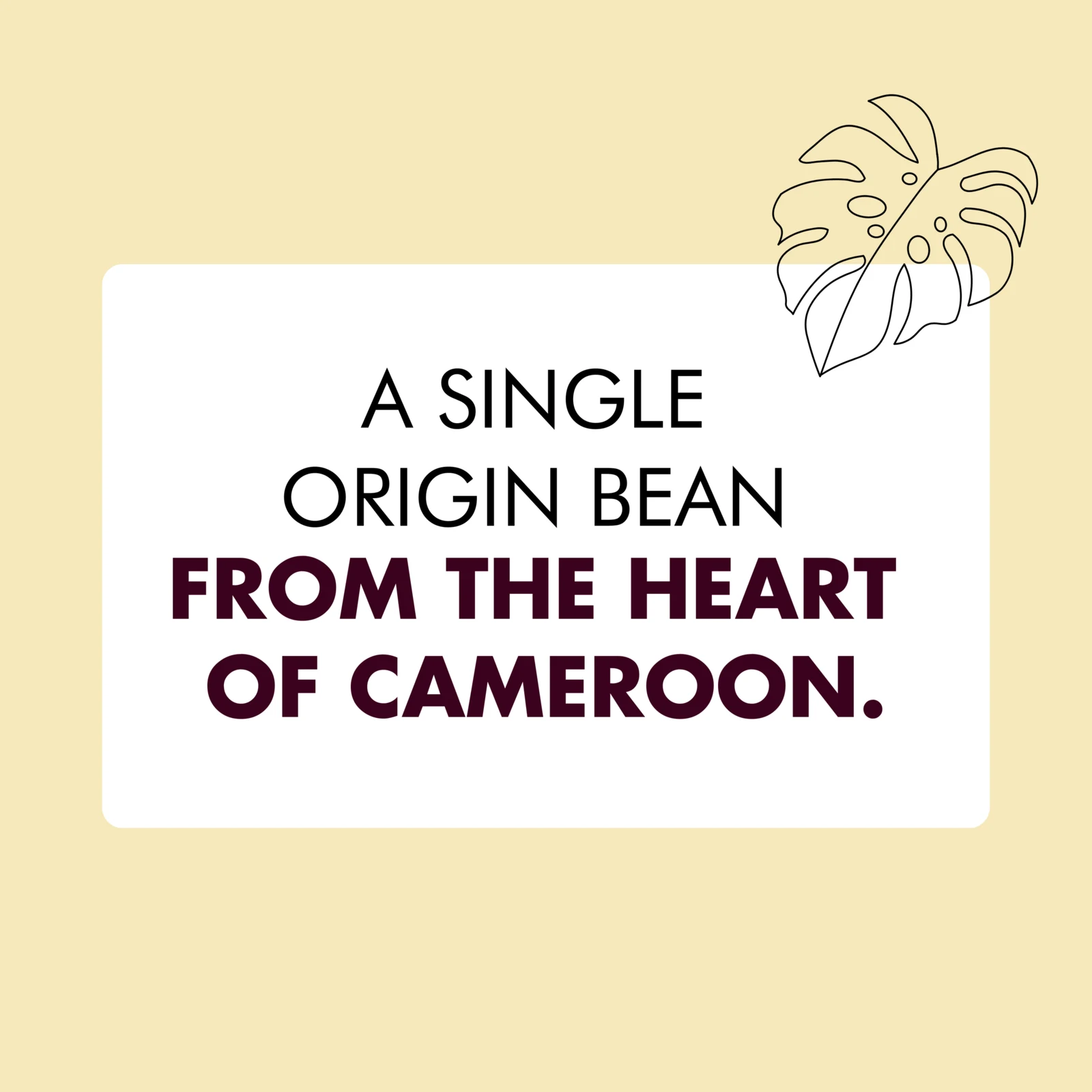 Cameroots: Instagram 8