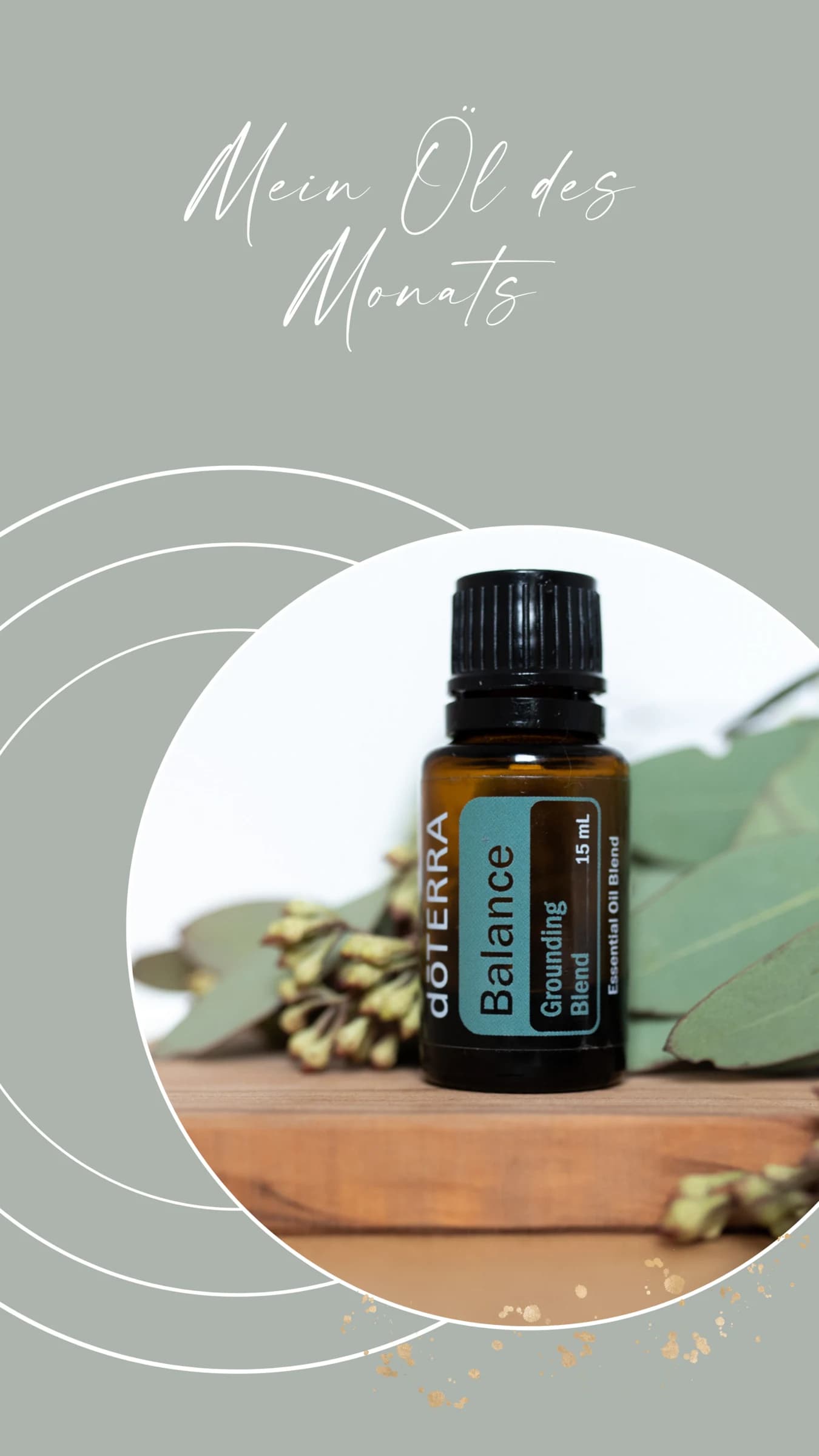 Circle of Oils: story 4