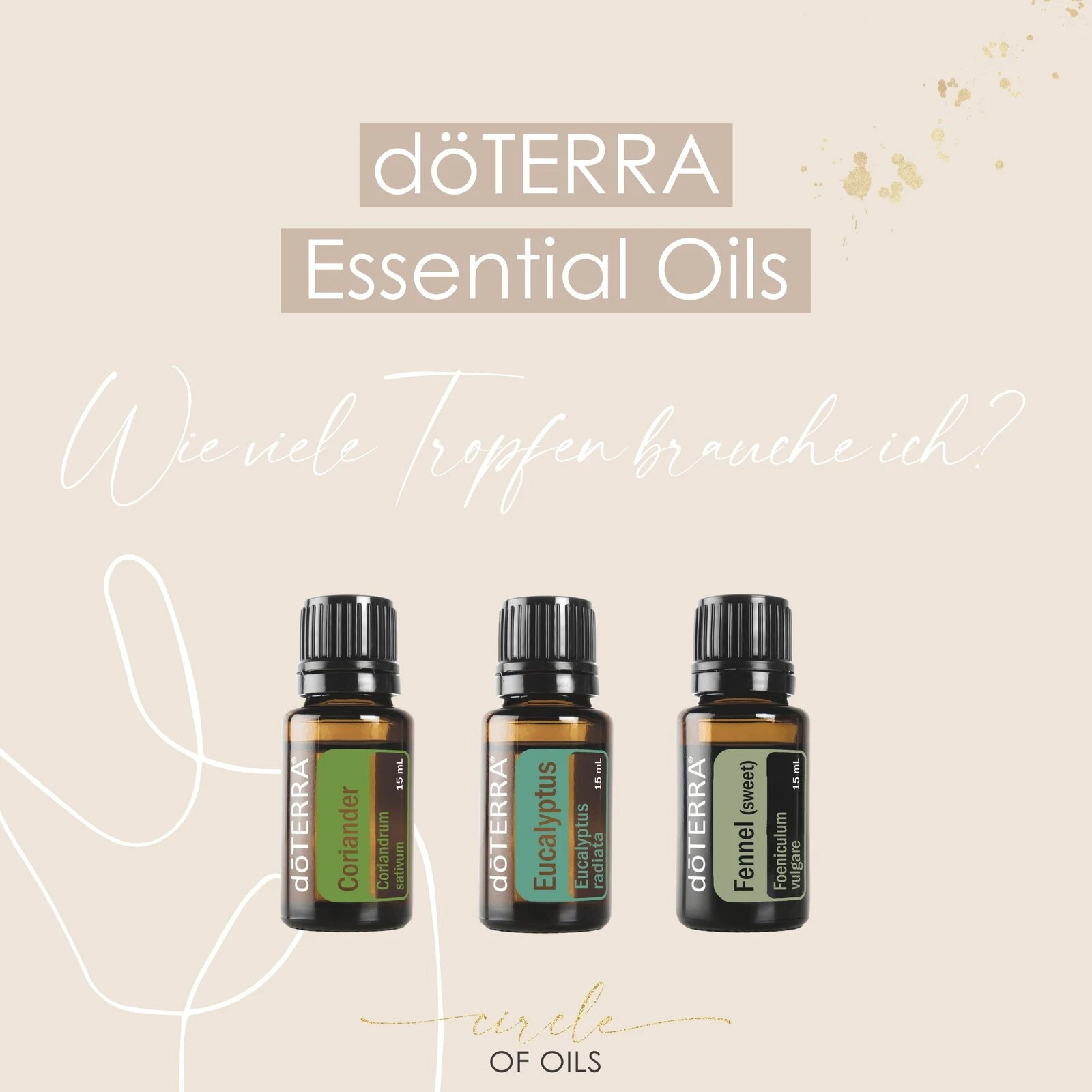 Circle of Oils: Instagram 3